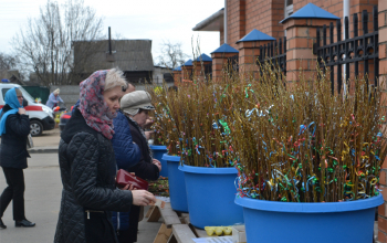 Вербное воскресенье в храмах 1-го Борисовского благочиния