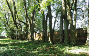 Поездка учащихся воскресной школы храма Рождества Христова в Красный берег