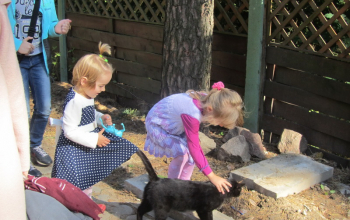 Дети из воскресной школы Воскресенского кафедрального собора в усадьбе «Бивак»