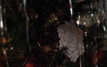 14 января состоится Рождественский концерт