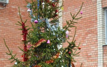 Рождество 2017/2018: Рождественская елка в храме Рождества Христова