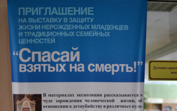 В Борисове открылась выставка «Спасай взятых на смерть»