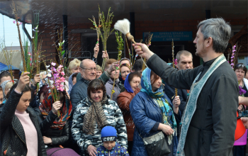 Вербное воскресенье в храме Рождества Христова г. Борисова